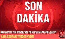 Osmaniye Bahçe'de TEM Otoyolunda TIR Kurtarma Aracına Çarptı Yangın Çıktı