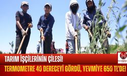 Termometreler 40 Dereceyi Gördü, Tarım İşçilerinin Yevmiyesi 650 TL!