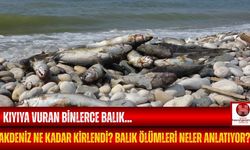 Akdeniz'de Korkutan Manzaralar! Toplu Balık Ölümleri Neyin Kanıtı?