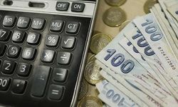 Borcu olanlara duyuruldu: Artık E-Devlet'ten açıklanacak