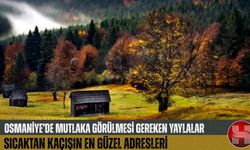 Osmaniye'nin Serin Cennetleri: Çukurova Sıcağında Huzur Vaat Eden 4 Yayla