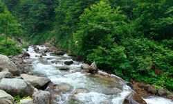 Osmaniye’de Piknik Yapılacak En Güzel Yerler