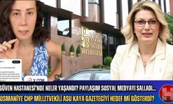 Osmaniye CHP Milletvekili Asu Kaya Gazeteciyi Hedef Mi Gösterdi?