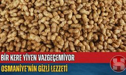 Osmaniye'nin en sevilen atıştırmalığı hangisi?