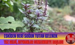 Osmaniye’nin Ferahlatan Lezzeti Reyhan Şerbeti