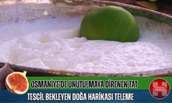 Osmaniye'nin meşhur lezzeti teleme zamanı başladı!