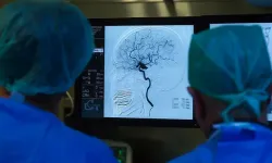 “İki İlde Tespit Edildi! Deli Dana Hastalığı Türkiye’de!”