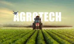 Agrotech Ne Kadar Para Kazanıyor? AGROT Hisse Çarpanları Değişti!