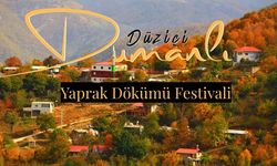 Düziçi Dumanlı Yaylası’nda Yaprak Dökümü Festivali Başlıyor