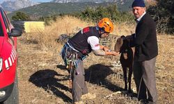 Korkuteli’de kaya oyuğunda mahsur kalan keçi 2 saatlik operasyonla kurtarıldı