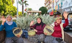 Manavgat’ta Zeytin ve Zeytinyağı Festivali 8-9 Kasım’da Başlıyor