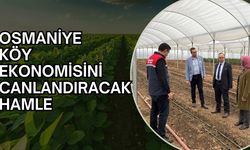 Osmaniye köy ekonomisini canlandıracak hamle