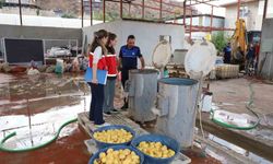Antalya Aksu'da Skandal! Sağlıksız Patates İşletmesi Mühürlendi, 1 Ton Ürün İmha