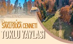 Osmaniye’nin Saklı Doğa Cenneti Toklu Yaylası