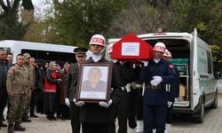 Adana'da Acı Haber Geldi! Bir Çınar Daha Devrildi...