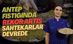 Fıstık fiyatı 3 bin TL’yi aştı: Tatlıda bezelye ve gıda boyasına dikkat