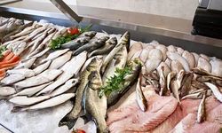 Aralık ayında hangi balık yenmeli? Aralık ayında hangi balık lezzetli olur? İşte yanıtı...