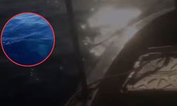 Balıkçılar "Ağır Bir Şey Var" Diyerek Çekti, Teknedekiler Panikledi: Denizin Ortasında Büyük Şok!