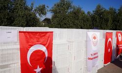 Bedavadan Biraz Daha Pahalı: Osmaniye'de Yüzleri Güldüren Destek