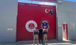 Hatay’da 30 yıl hapis cezası bulunan firari, mandalina bahçesinde yakalandı