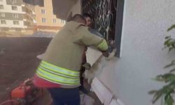 Pencere Korkuluğuna Sıkışan Kediyi İtfaiye Kurtardı