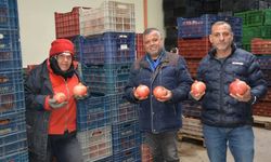 Korkuteli’nden nar ihracatı başladı, ürünler Avrupa ve Rusya yolunda