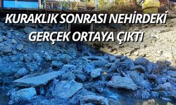 Kuraklık Gerçeği Ortaya Çıkardı: Seyhan Nehri Atık Su ile Kirleniyor