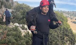 Mersin’de kayalıklarda mahsur kalan keçiler itfaiye tarafından kurtarıldı