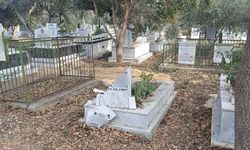 Ne Girmek Mümkün Ne Dua Etmek! Osmaniye'deki Bu Mezarlık Bakımsızlıktan Dökülüyor!