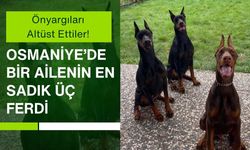 Önyargıları Altüst Ettiler! Osmaniye’de Bir Ailenin En Sadık Üç Ferdi