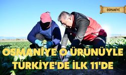 Osmaniye o ürünüyle Türkiye'de ilk 11'de