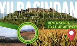 Osmaniye’de arsa altını geçti: Yılbaşından sonra fiyatlar daha da artacak