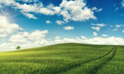 Osmaniye'de devlet bu arsayı satacak: İcra diye bu fiyat istendi