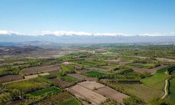 Osmaniye'de devlet iki arsa birden satacak: Ucuz olmasının nedeni açıklandı!