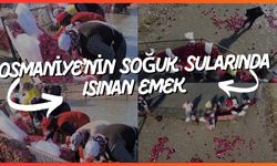 Osmaniye’nin Soğuk Sularında Isınan Emek