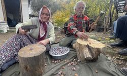 Toroslar’da şifa mesaisi: Andız pekmezinin kilosu 500 TL
