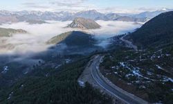 Adana Feke’de sisle örtülenen ormanlar büyüledi