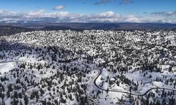 Mersin’in yüksekleri beyaza büründü: Ormanlardan kartpostallık kar manzaraları