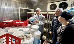 Antakya’da süt ürünleri üreten firma denetlendi