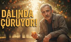 Dalında kalan mandalina fiyatları etkiler mi? Pazarcılar soruyu yanıtladı