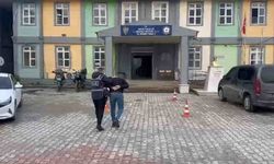 Defne’de hırsızlık şüphelisi 2 kişi tutuklandı