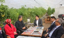 Düziçi Kaymakamı Yurdagül’den Bölgenin En Büyük Örtü Altı Üretim Tesisine Ziyaret