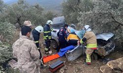 Hatay’da otomobil zeytinliğe uçtu