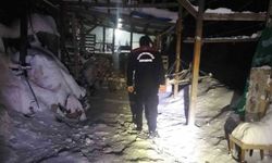 Kahramanmaraş’ta itfaiyeden örnek kurtarma: Karla kaplı yolda hastaları sırtlarında taşıdılar