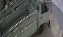 Kedi ezen sürücüye hayvan barınağında çalışma cezası