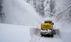 Kuvvetli kar yağışı doğuda ulaşımı felç etti Onlarca yol kapandı