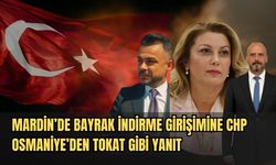 Mardin’de Bayrak İndirme Girişimine CHP Osmaniye’den Tokat Gibi Yanıt