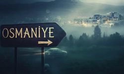 Osmaniye’de Gizli Servet: Her Gün Kapımızın Önünden 40 Bin Tane Geçiyor!