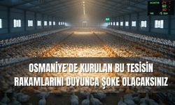 Osmaniye’de Kurulan Bu Tesisin Rakamlarını Duyunca Şoke Olacaksınız