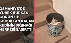 Osmaniye’de Yürek Burkan Görüntü! Soğuktan Kaçan Kedinin Sığınağı Herkesi Şaşırttı!